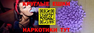 шишки Тара