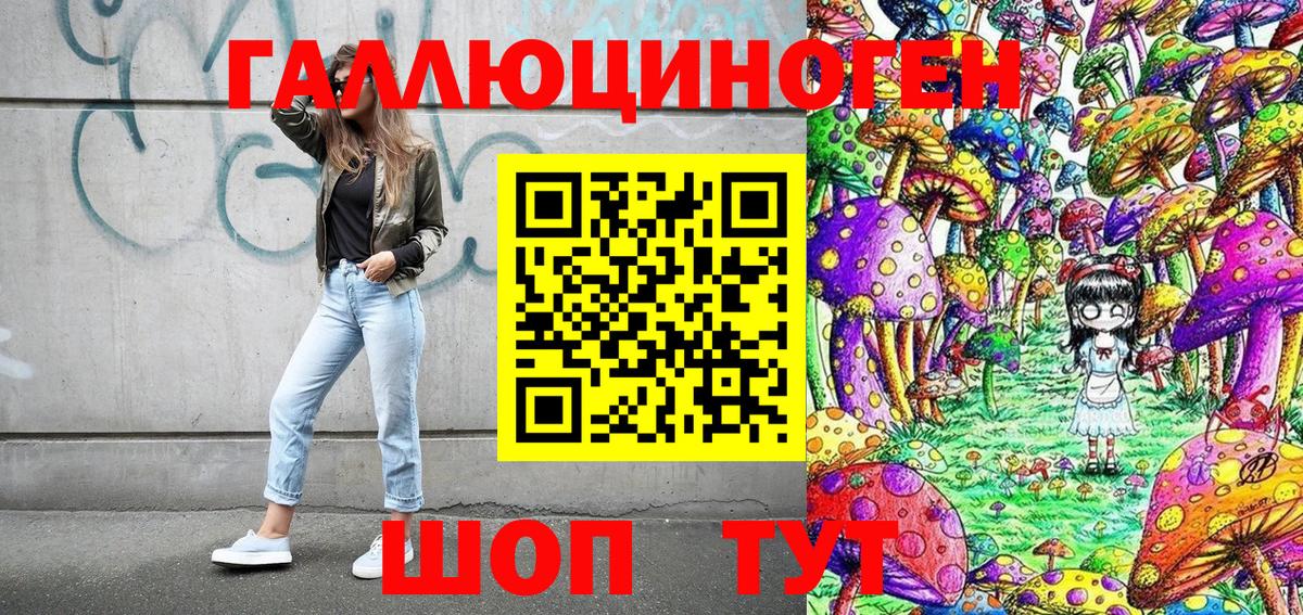 Псилоцибиновые грибы Cubensis  Вход с VPN  Луга 