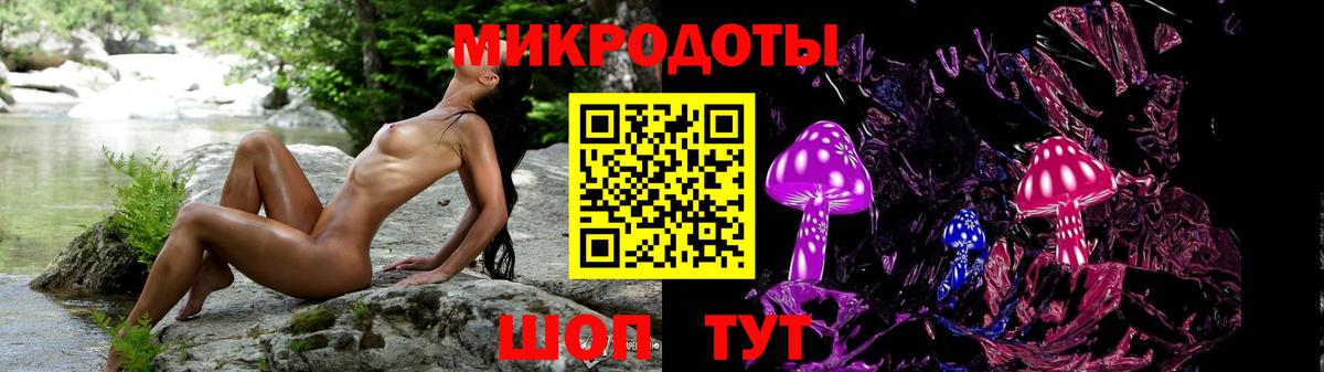 Псилоцибиновые грибы прущие грибы Луга