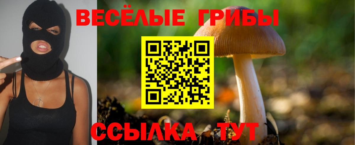 APVP Луга